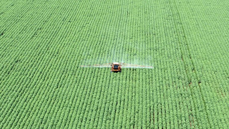Brasil registra abertura de 300 novos mercados para o agronegócio