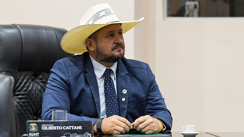 Após superar acusações de comparar mulheres com vacas, Cattani reassume Comissão de Direitos Humanos