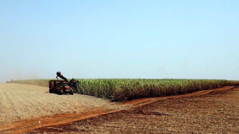 São Paulo reativa Câmara Setorial de Açúcar, Etanol e Bioenergia