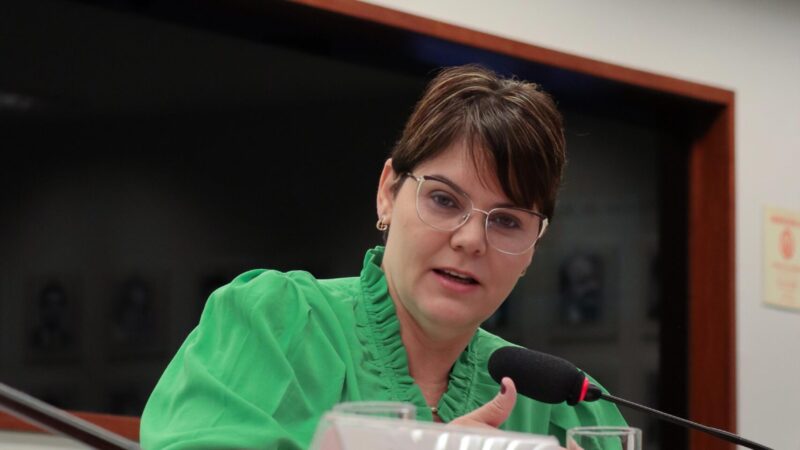 Coronel Fernanda defende medidas de curto prazo para reduzir preço do gás natural e viabilizar fertilizantes no país