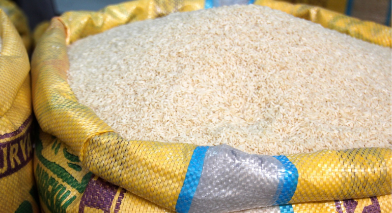 Governo anuncia R$ 1 bi para compra de arroz de pequenos produtores