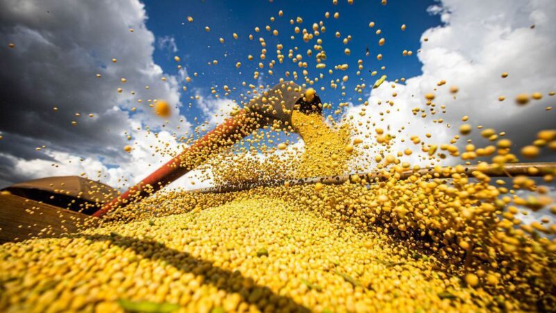 Governo terá força-tarefa para escoamento da supersafra de olho em preços