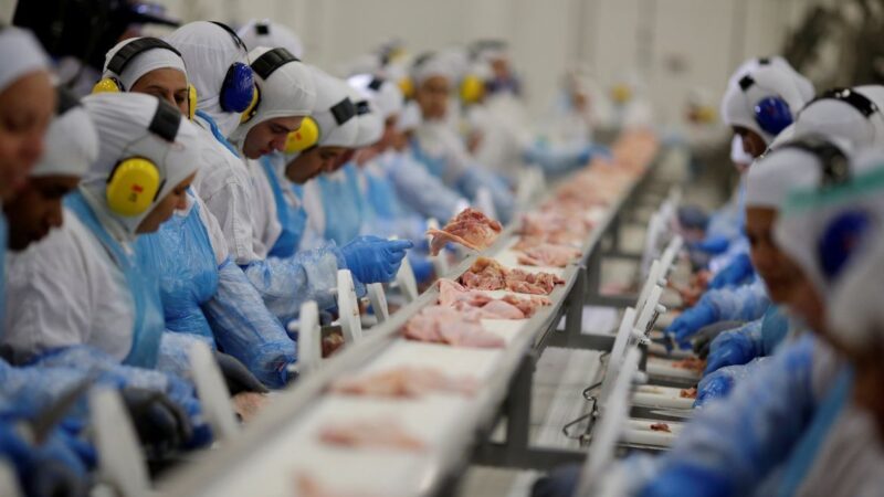 Alta de preços ao produtor desacelera a 0,61% em agosto, diz IBGE