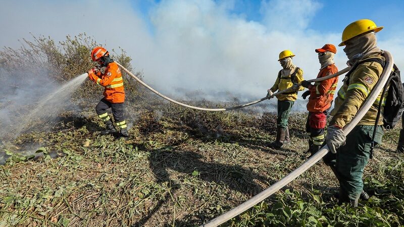 Corpo de Bombeiros extingue incêndio florestal em Primavera do Leste nesta segunda-feira (29) – Jornal Advogado – Em Mato Grosso