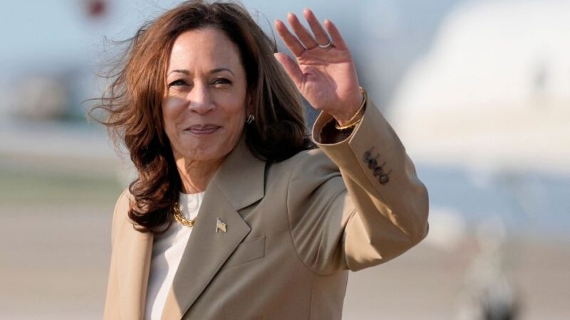 Empresários dos EUA apostam em medidas mais ao centro com Kamala Harris, dizem especialistas