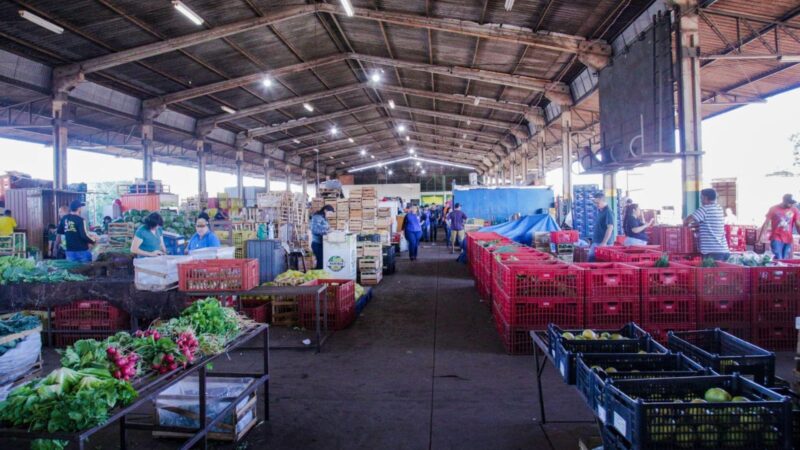 Ovo, cebola e tomate ficam mais baratos em Campo Grande