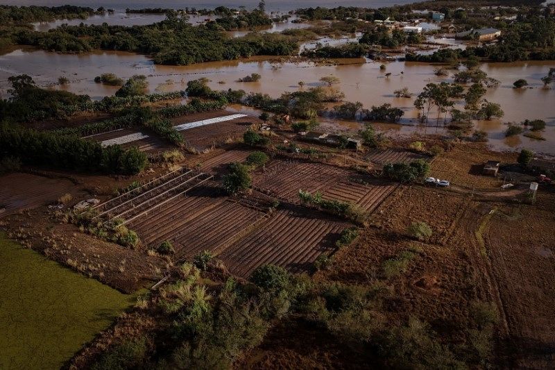 CMN autoriza prorrogação de dívidas de agricultores atingidos por inundações no RS