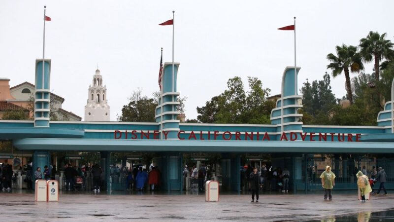 Disney é processada por alergia e morte, mas quer arquivamento porque cliente assinava streaming