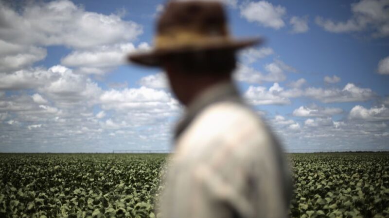 Governo abre crédito de R$ 2 bilhões para agricultores gaúchos afetados por enchentes