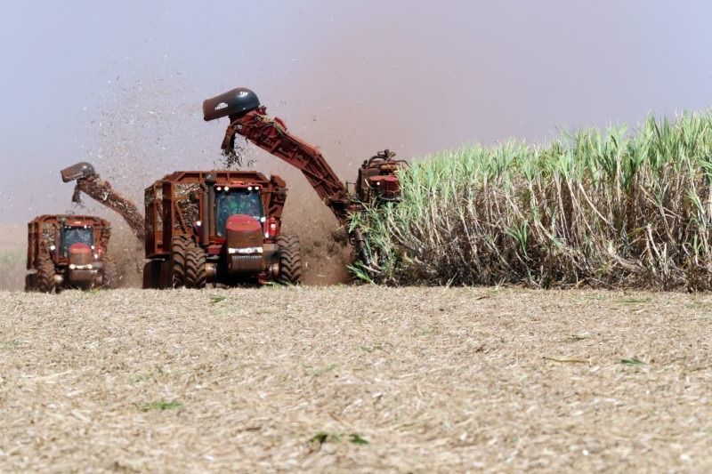 Incêndios em canaviais aumentam pressão sobre açúcar no Brasil
