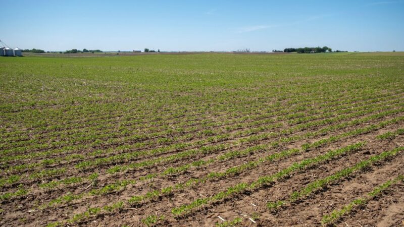 Inflação de preços ao produtor nos EUA desacelera a 0,1% em julho