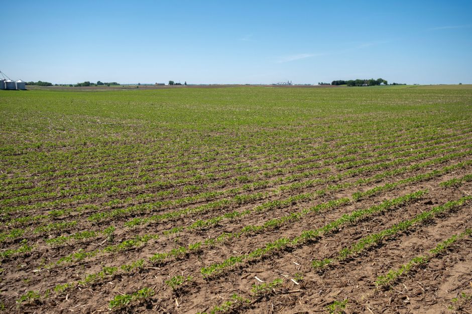 Inflação de preços ao produtor nos EUA desacelera a 0,1% em julho