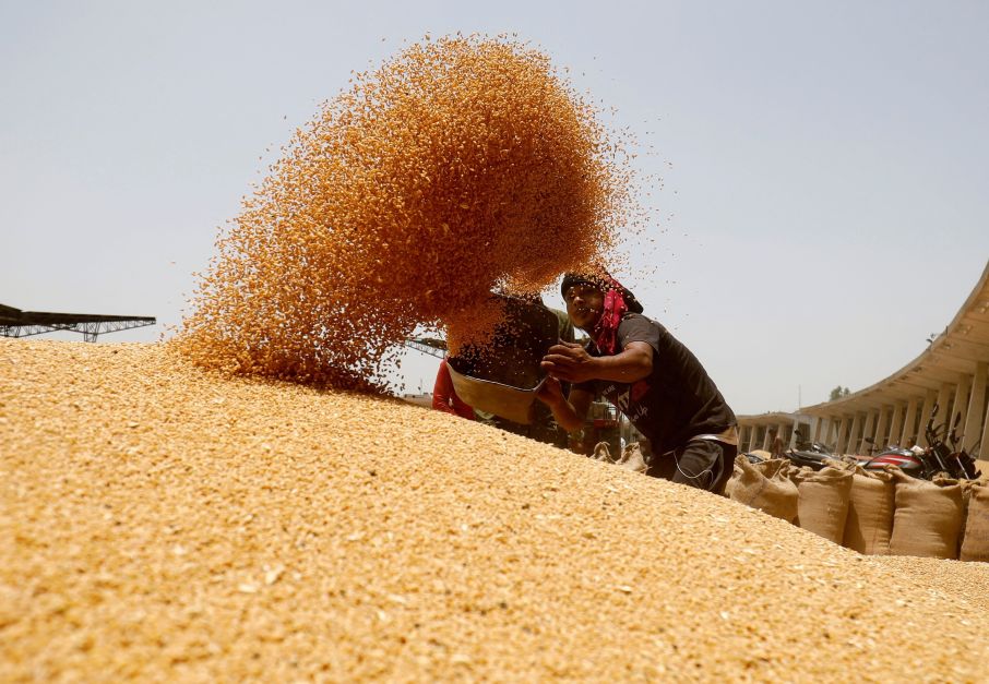 Preços mundiais dos alimentos diminuem em julho com pressão de cereais, diz ONU
