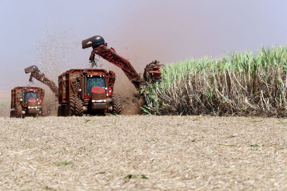 Safra de produção cana de açúcar do Brasil 2024/2025 – Jornal Advogado – Em Mato Grosso