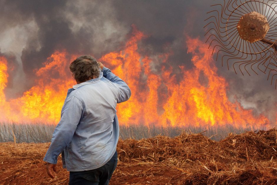 São Martino e Raízen informam estimativas de impacto dos incêndios na produção de cana