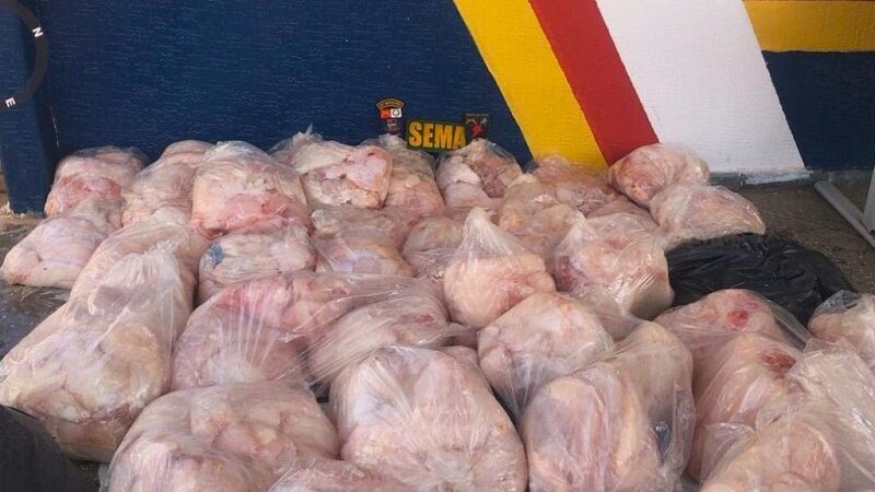 Sema e PM multam dupla em R$ 294 mil por caça de mais de 500 kg de carne de jacaré – Jornal Advogado – Em Mato Grosso