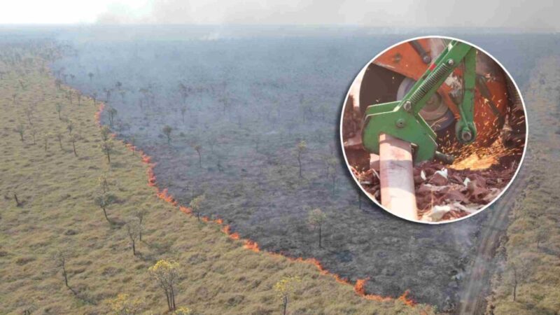 Ibama aplica multa de R$ 107 milhões a concessionária de ferrovias por incêndio gigante no Pantanal – Jornal Advogado – Em Mato Grosso