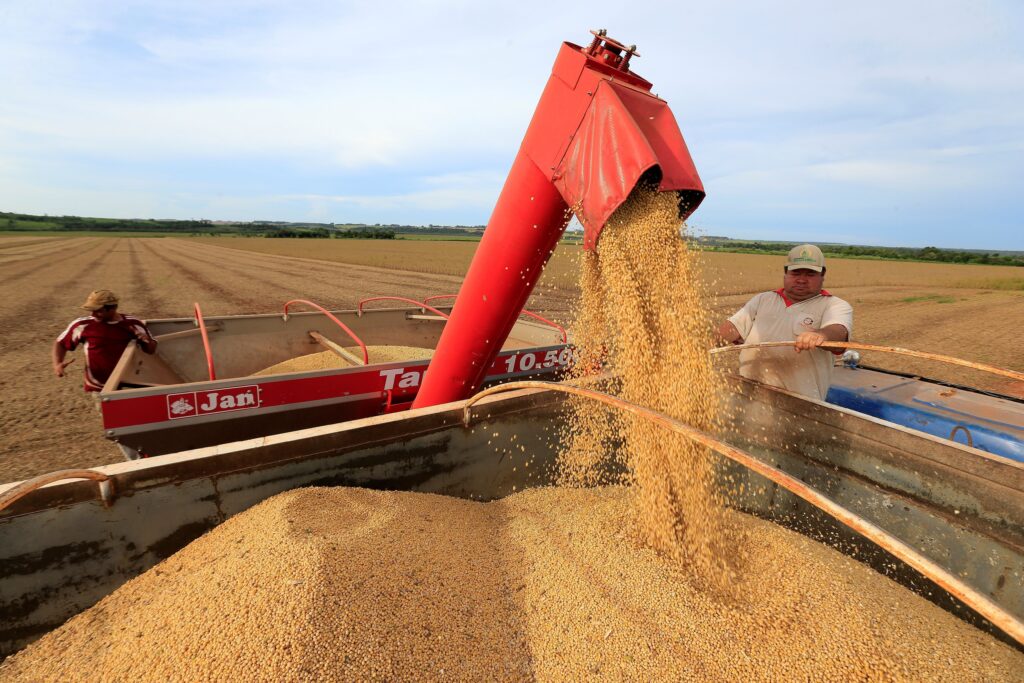 Mesmo com atraso por seca, nova safra de soja do Brasil deve crescer 14%, segundo pesquisa – Jornal Advogado – Em Mato Grosso