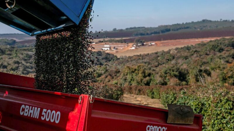 Preços do café e açúcar atingem novas máximas impulsionados por seca no Brasil – Jornal Advogado – Em Mato Grosso