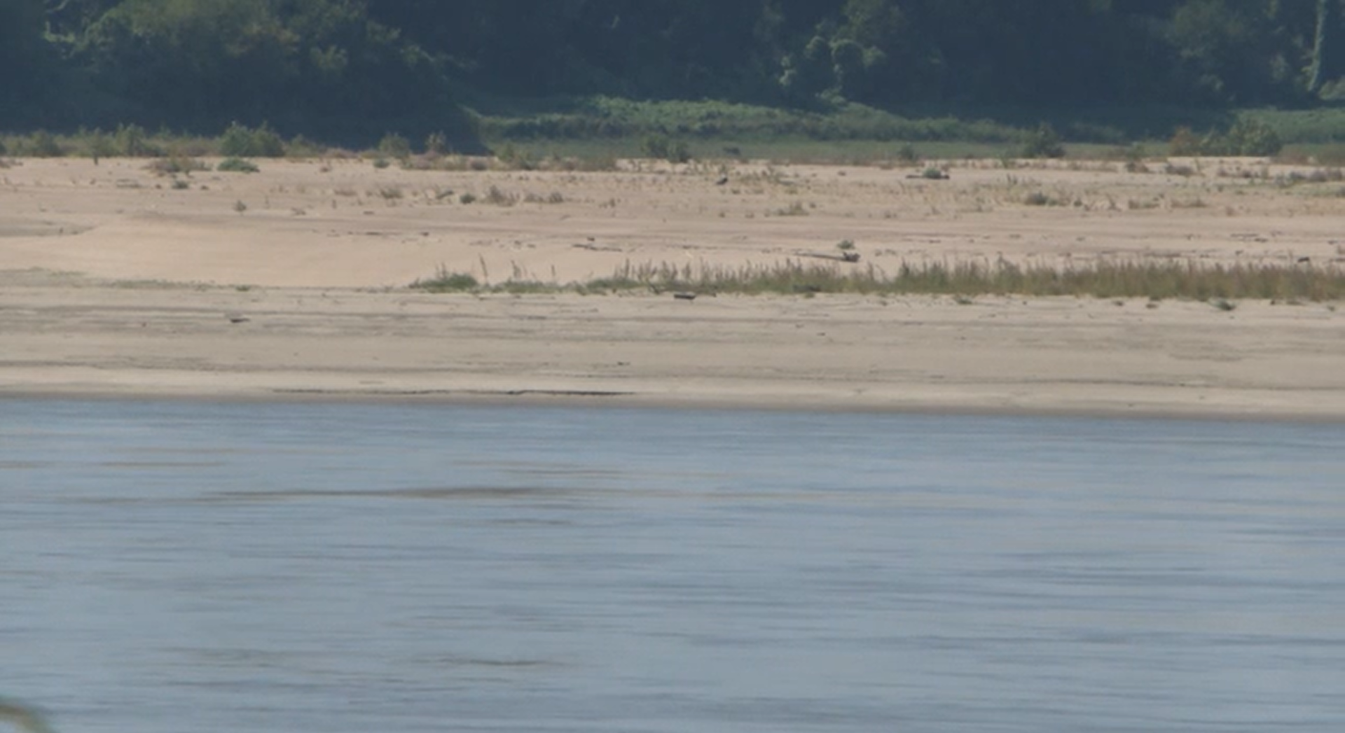 Baixo nível do rio Mississippi impacta exportação de grãos nos EUA