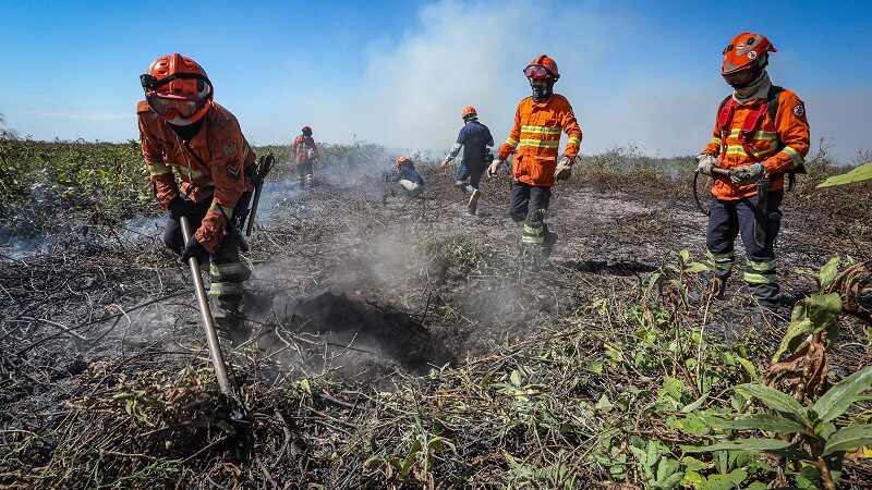 Corpo de Bombeiros combate 39 incêndios florestais em Mato Grosso nesta terça-feira (03) – Jornal Advogado – Em Mato Grosso