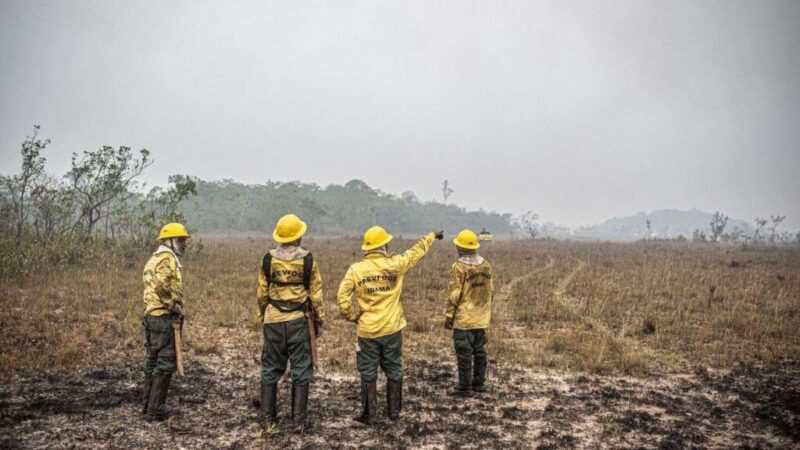 Dino estabelece orçamento de emergência para combate a incêndios – Jornal Advogado – Em Mato Grosso