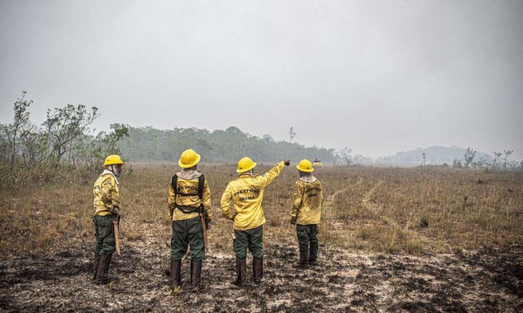 Dino estabelece orçamento de emergência para combate a incêndios – Jornal Advogado – Em Mato Grosso