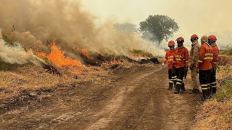 “Fogo não cai do céu” diz Mauro Mendes sobre fogo orquestrado em todo Brasil – Jornal Advogado – Em Mato Grosso