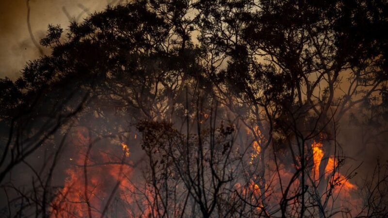 Governo gastará R$ 28 bi fora do arcabouço para combater eventos extremos em 2024