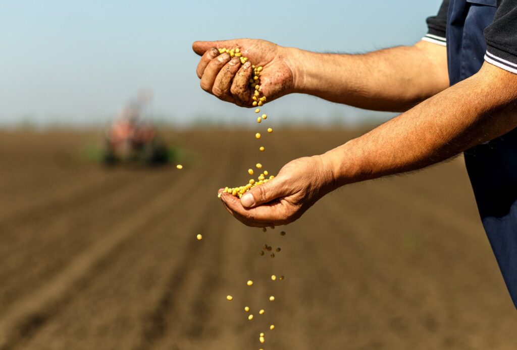 Indea libera cultivo da soja para a safra 2024/2025 em Mato Grosso – Jornal Advogado – Em Mato Grosso