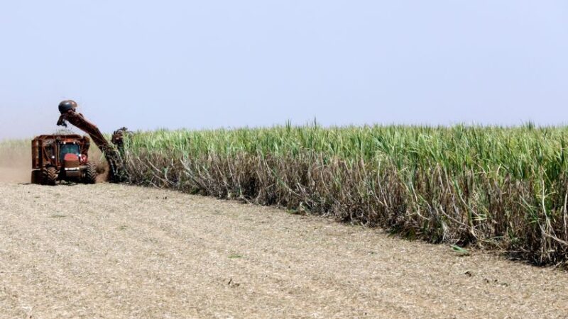Ministro da Agricultura Carlos Favaro fala sobre papel do Brasil na produção de biocombustíveis – Jornal Advogado – Em Mato Grosso