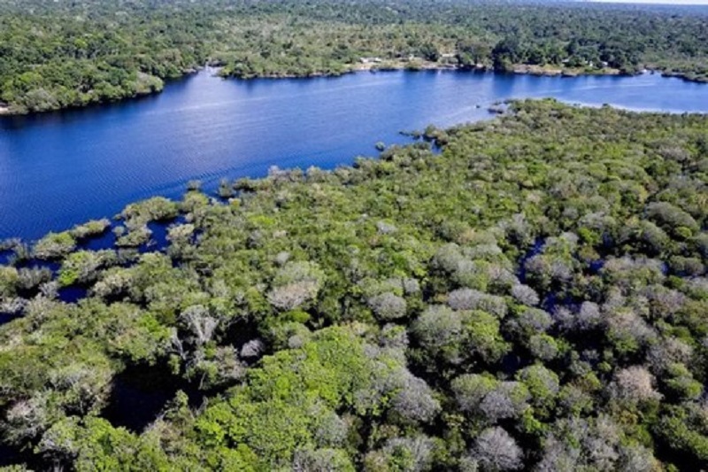 OAB apoia ação da AGU contra infratores ambientais – Jornal Advogado – Em Mato Grosso