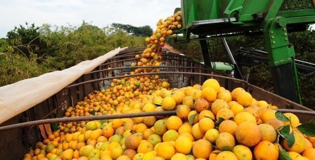 Plano Safra da Agricultura Familiar 2024/25 foi apresentado aos produtores de Mato Grosso – Jornal Advogado – Em Mato Grosso