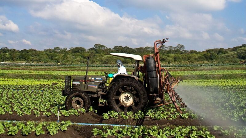 Preço dos alimentos deve voltar a subir com estiagem e queimadas