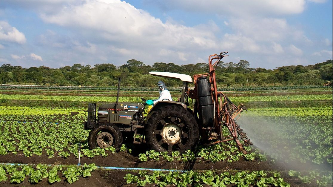 Preço dos alimentos deve voltar a subir com estiagem e queimadas