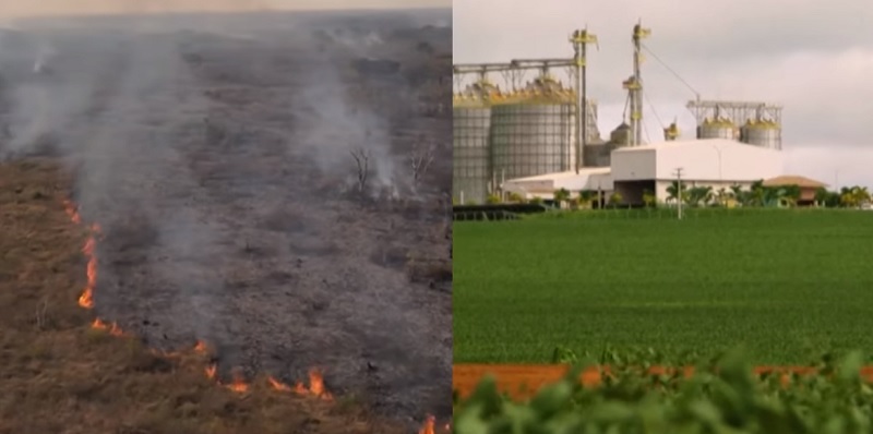 ????Quem está por trás das queimadas?????Agro é exposto e governo promete caçar criminosos????Resumo do dia