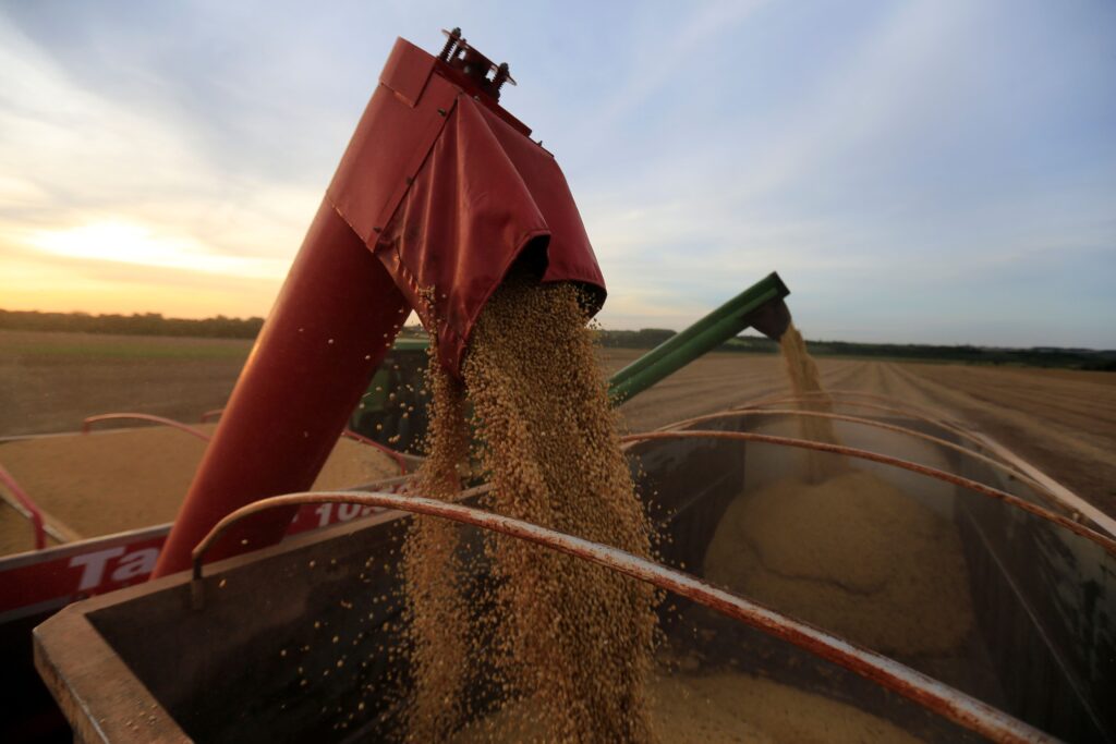 Safra de soja 24/25 do Brasil deve crescer 12,7%, estima Conab – Jornal Advogado – Em Mato Grosso
