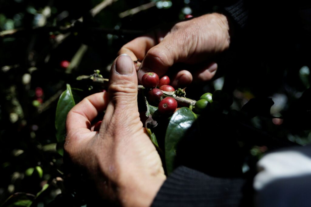 Preços ao produtor no Brasil sobem 0,66% em setembro em 8ª alta seguida – Jornal Advogado – Em Mato Grosso
