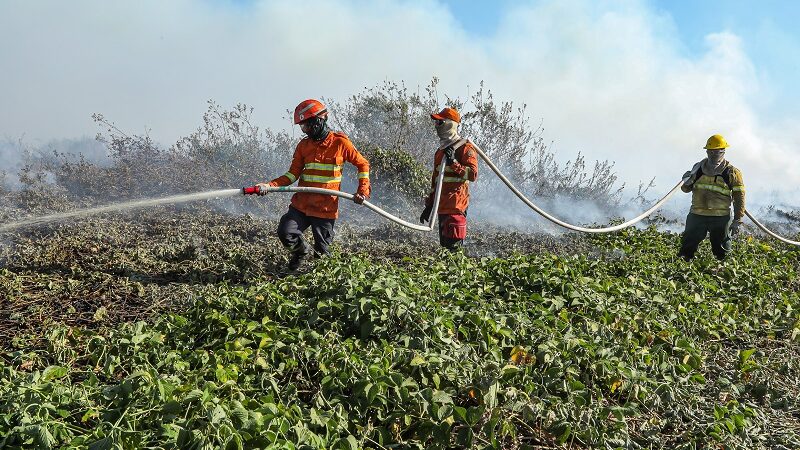 Bombeiros de MT combatem 22 incêndios florestais no Estado neste sábado (12) – Jornal Advogado – Em Mato Grosso