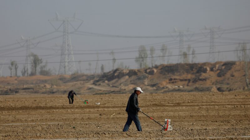 China anuncia plano para impulsionar renda de agricultores e empregos de migrantes