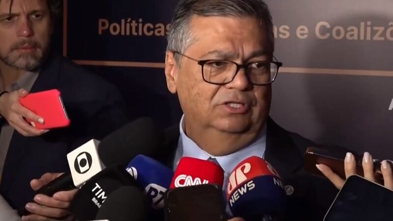 Dino diz que STF não vai deixar de decidir porque desagrada tal ou qual agente público ou privado