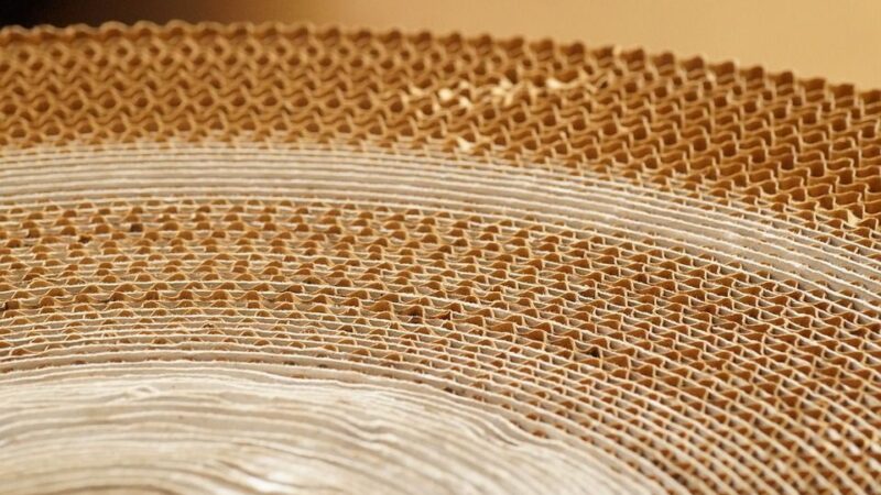 Expedição de papel ondulado atinge recorde histórico em agosto