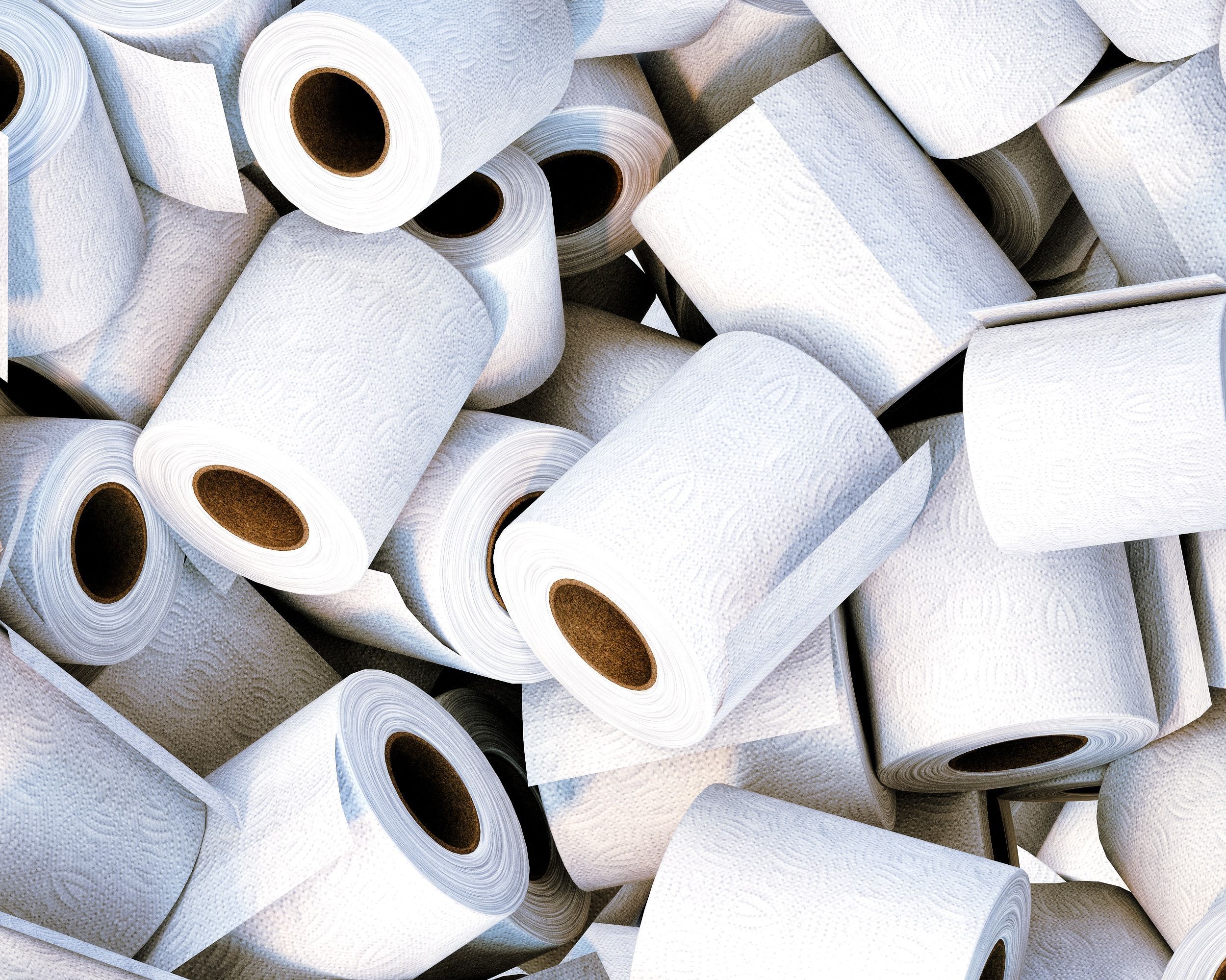 Greve dos portos nos EUA causa nova onda de pânico por papel higiênico
