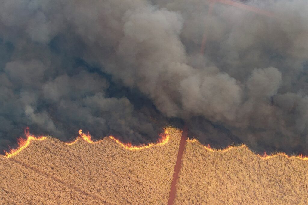 Impacto das queimadas afeta mais produtores rurais do que empresas agrícolas, estimam analistas – Jornal Advogado – Em Mato Grosso