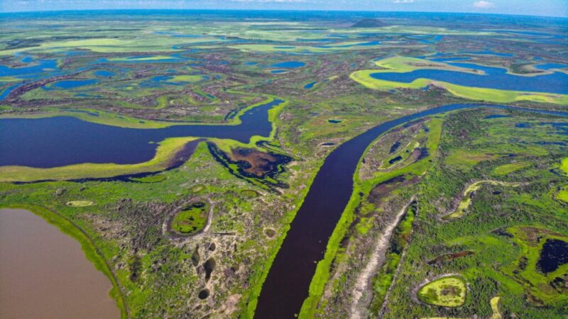 Incêndios em Mato Grosso encolhem em outubro, mas o Pantanal ainda está em risco! – Jornal Advogado – Em Mato Grosso