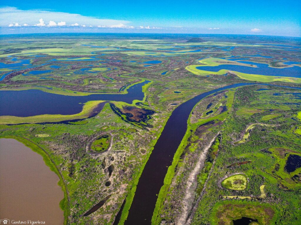 Incêndios em Mato Grosso encolhem em outubro, mas o Pantanal ainda está em risco! – Jornal Advogado – Em Mato Grosso