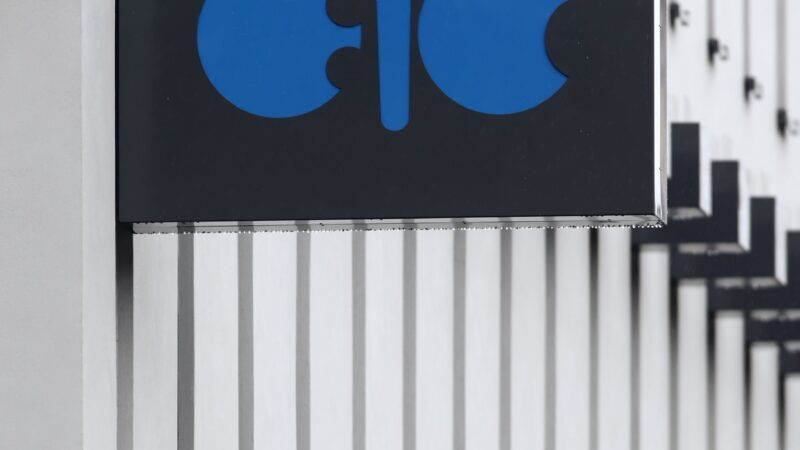 Opep corta previsão para crescimento da demanda global por petróleo em 2024