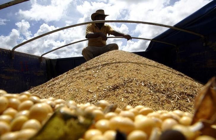 Plantio de soja atinge 4,5% no Brasil, diz AgRural; ritmo no MT é o mais lento em anos – Jornal Advogado – Em Mato Grosso