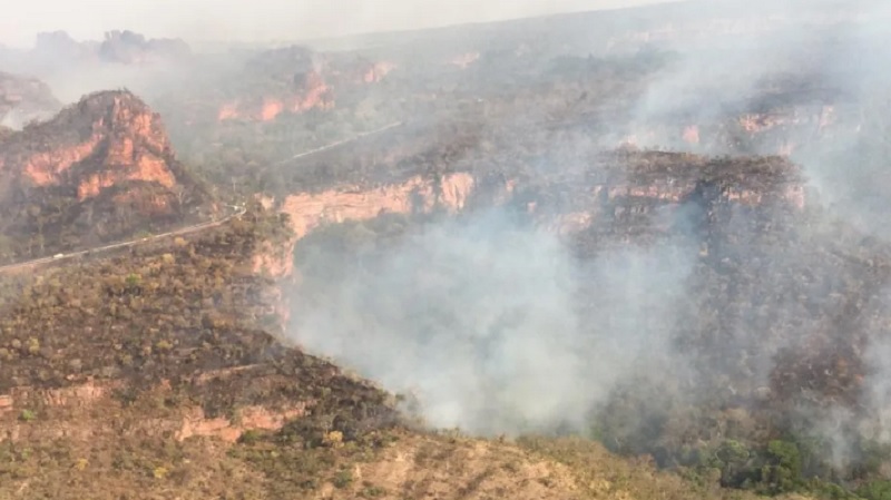 Polícia Civil prende 5 pessoas por desmatamento ilegal na região de Chapada dos Guimarães – Jornal Advogado – Em Mato Grosso