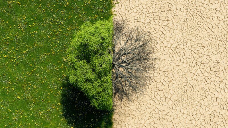 Principais pressões sobre inflação vieram de distúrbios no clima, diz IBGE